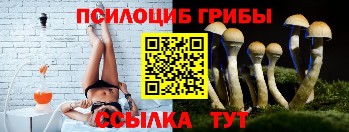 Псилоцибиновые грибы прущие грибы  Вход с VPN  Ростов-на-Дону 